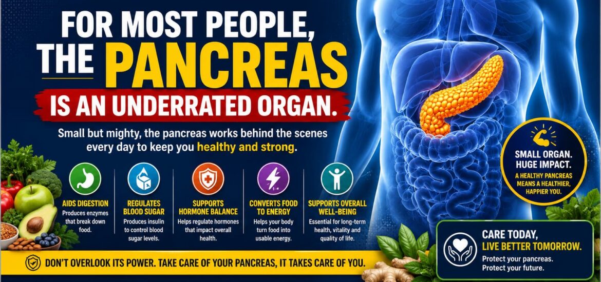 For most people, the pancreas is an underrated organ.