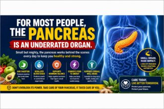 For most people, the pancreas is an underrated organ.