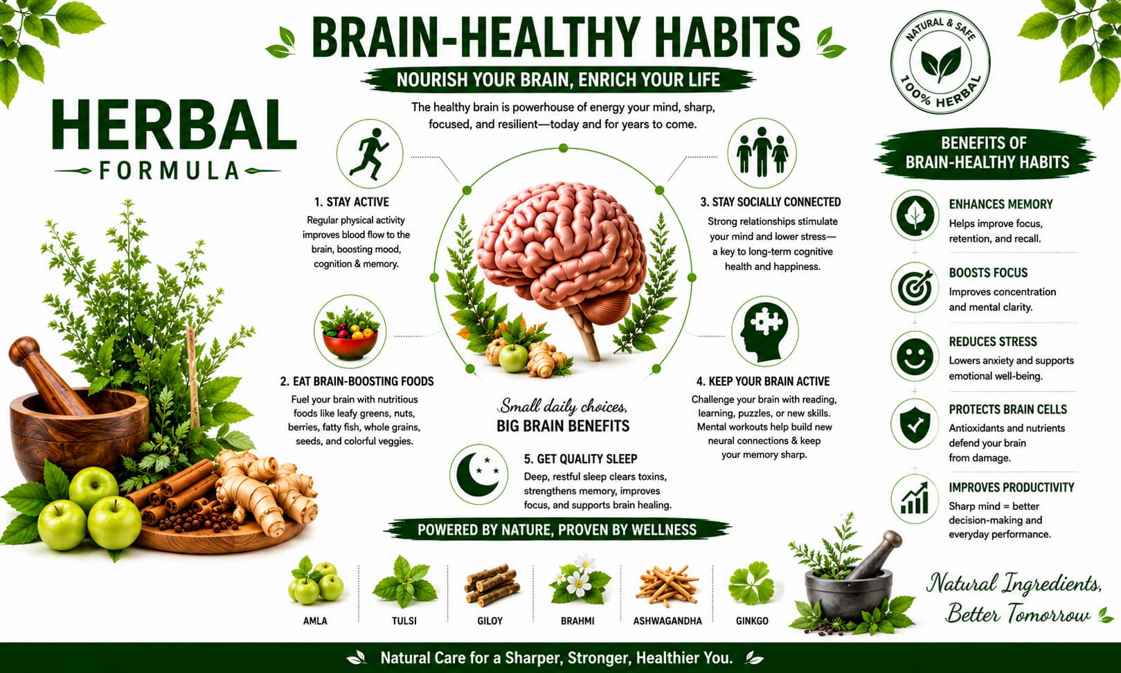 A clean, modern brain-health infographic featuring a detailed central illustration of the human brain, surrounded by educational tips, healthy lifestyle habits, natural herbs, and wellness icons on a bright white background with green botanical accents, promoting cognitive health and overall well-being.