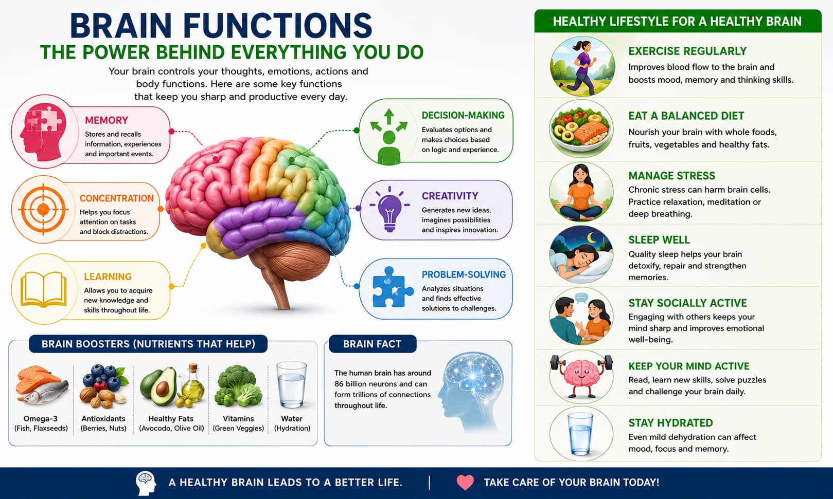 different brain functions, including memory, concentration, learning, decision-making,creativity, and problem-solving
