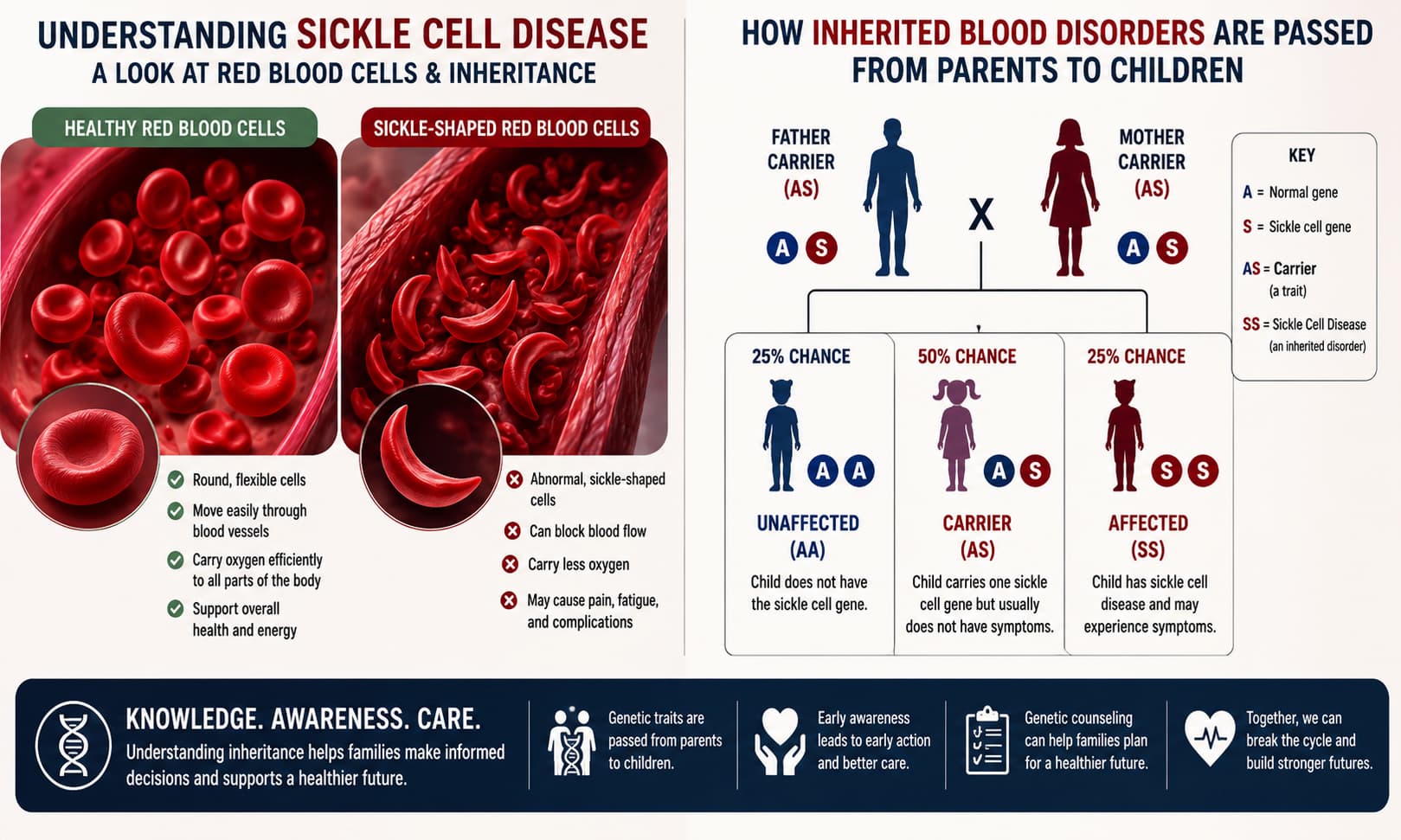comparing healthy red blood cells with sickle-shaped red blood cells, alongside a simple genetic inheritance diagram